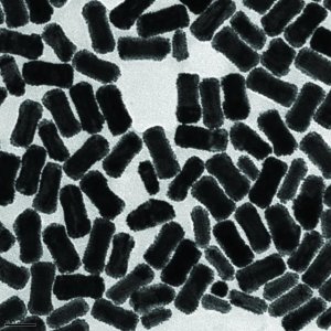 Gold nanorods 716928-10ML