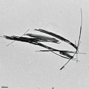 Gold nanowires 716952-10ML