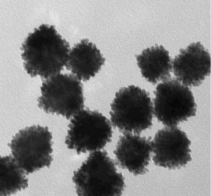 Platinum nanospheres 