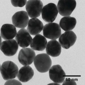 Silver nanospheres 796336-25ML