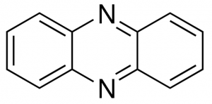 Phenazine 
