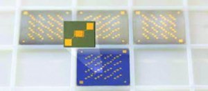 Back-gated OFET Interdigitated Substrate FIPMS223-1PAK