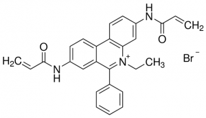 Ethidium bromide-N,N-bisacrylamide 