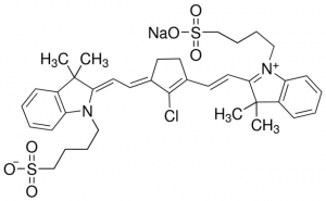 IR-806 543349-250MG