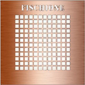 Copper Tomography Grid R14C2 TEM-74357