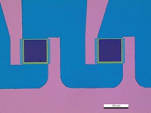 Graphene FET chip GRFETS20-1EA