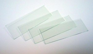 Indium tin oxide coated glass slide, rectangular 