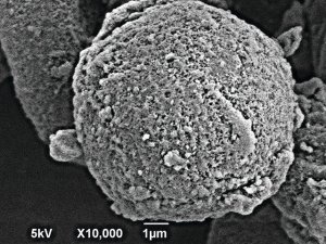 Carbon, mesoporous 702102-5G