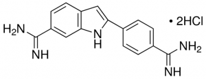 DAPI 