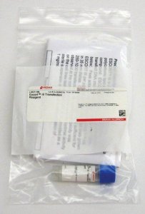 Escort III Transfection Reagent 