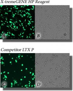 X-tremeGENE HP DNA Transfection Reagent 