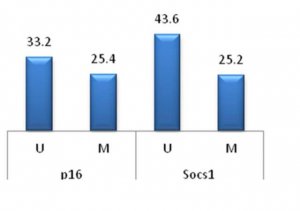 CpGenome Rat Methylated and Unmethylated Genomic DNA Standard Set S7865