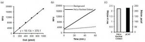 HAT ACTIVITY FLUOROMETRIC ASSAY KIT EPI002-1KT
