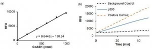 HAT4 ACTIVITY FLUOROMETRIC ASSAY KIT EPI014-1KT