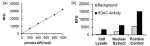 HDAC1 IP AND ACTIVITY ASSAY KIT EPI011-1KT
