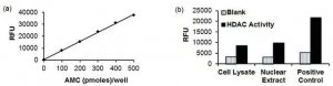 HDAC3 IP AND ACTIVITY ASSAY KIT EPI013-1KT
