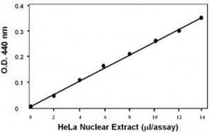 Histone Acetyltransferase (HAT) Activity Assay Kit EPI001-1KT