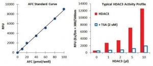 Histone Deacetylase 3 (HDAC3) Activity Assay Kit EPI004-1KT