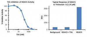 Histone Deacetylase 3 (HDAC3) Inhibitor Screening Kit EPI005-1KT