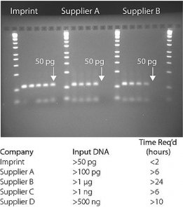 Imprint DNA Modification Kit 