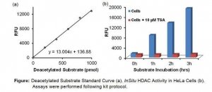 In Situ Histone Deacetylase (HDAC) Activity Fluorometric Assay Kit EPI003-1KT