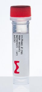 CRISPR Cas9-D10A Nickase mRNA 