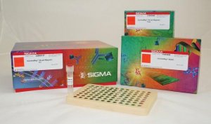MISSION ExpressMag 96-Well Magnetic Kit SHM02-1KT