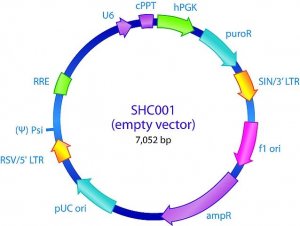 MISSION pLKO.1-puro Empty Vector Control Plasmid DNA SHC001