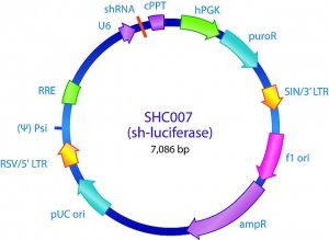MISSION pLKO.1-puro Luciferase shRNA Control Transduction Particles SHC007V