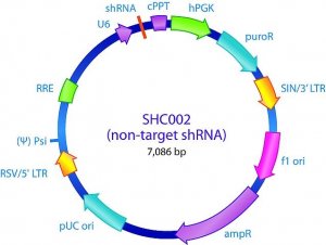 MISSION pLKO.1-puro Non-Mammalian shRNA Control Plasmid DNA SHC002