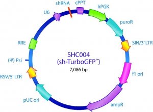 MISSION pLKO.1-puro TurboGFP shRNA Control Transduction Particles SHC004V
