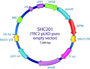 MISSION TRC2 pLKO.5-puro Empty Vector Control Plasmid DNA SHC201