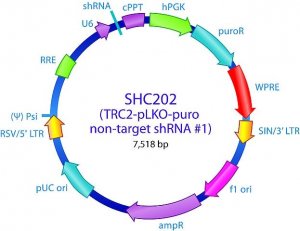 MISSION TRC2 pLKO.5-puro Non-Mammalian shRNA Control Plasmid DNA SHC202