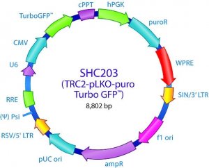 MISSION TRC2 pLKO.5-puro-CMV-TurboGFP Positive Control Plasmid DNA SHC203