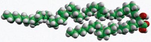 -mycolic acid (C80) 791280P-1MG