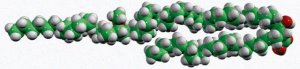 -mycolic acid, methoxy cis 791281P-1MG