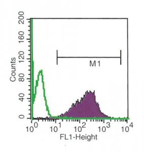 Anti-Shiga Toxin 1, B Subunit (STxB) antibody, Mouse monoclonal SAB4200774-100UL