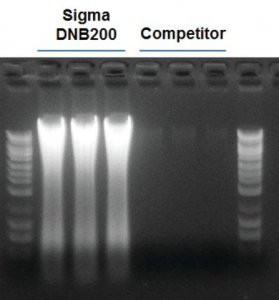 GenElute Stool DNA Isolation Kit DNB200-50RXN