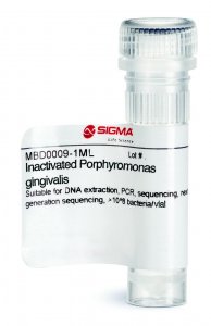 Inactivated Porphyromonas gingivalis 
