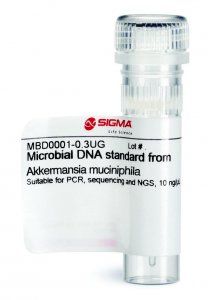Microbial DNA standard from Akkermansia muciniphila MBD0001-0.3UG
