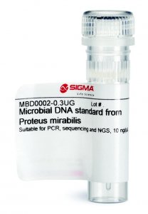 Microbial DNA standard from Proteus mirabilis 