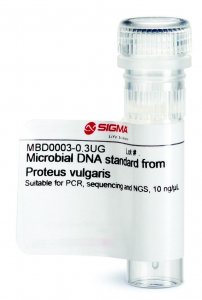 Microbial DNA standard from Proteus vulgaris 