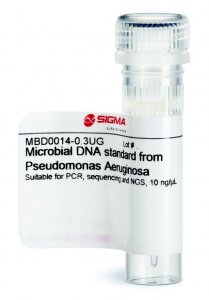 Microbial DNA standard from Pseudomonas Aeruginosa MBD0014-0.3UG