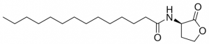 N-Tetradecanoyl-D-homoserine lactone 