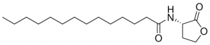 N-Tetradecanoyl-L-homoserine lactone 