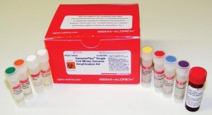 GenomePlex Single Cell Whole Genome Amplification Kit 