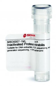 Inactivated Proteus mirabilis 