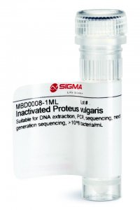 Inactivated Proteus vulgaris 
