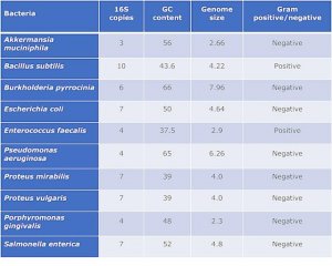 Microbial community DNA mix MBD0026-0.3UG