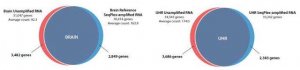 SeqPlex RNA Amplification Kit 
